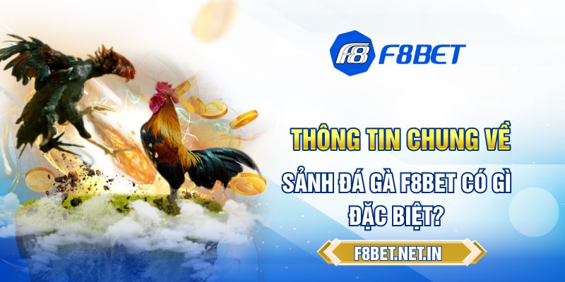 Thông tin chung về sảnh đấu gà F8BET có gì đặc biệt?