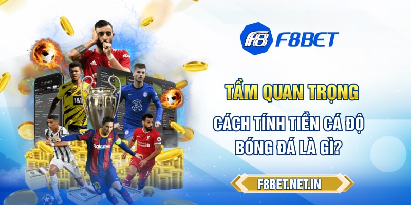 Tầm quan trọng về cách tính tiền cá độ bóng đá